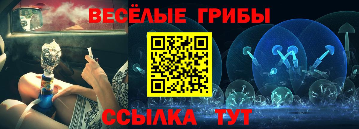 Псилоцибиновые грибы ЛСД Избербаш