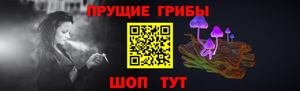 Избербаш  Псилоцибиновые грибы мухоморы  Псилоцибиновые грибы GOLDEN TEACHER  Вход с VPN 